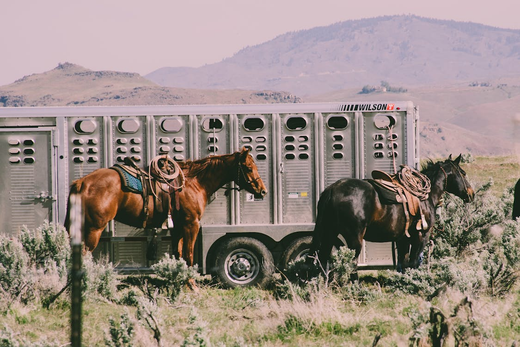 Know Before You Go: A Checklist For Travel with Horses