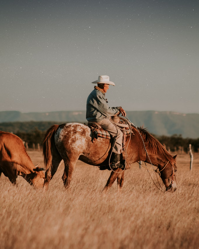 Benefits of Therapeutic Riding