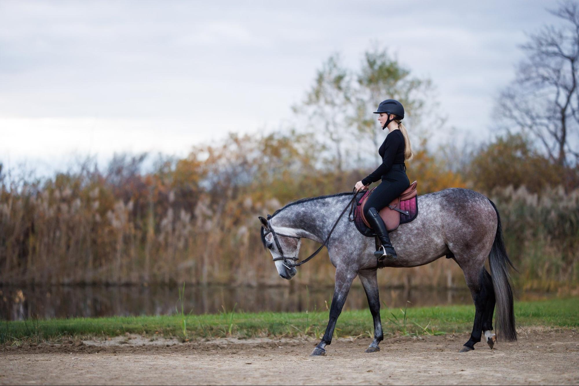 Winter Riding Activities Tips for Winter Riding in Snow and Ice - Stickyseat